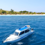 Paket Wisata Pulau Komodo One Day Trip Dengan Speedboat