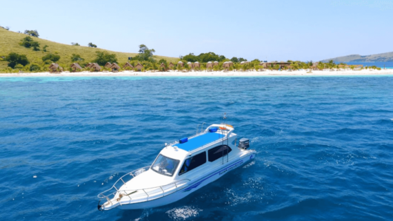 Paket Tur Pulau Komodo 1 Hari Dengan Speedboat
