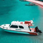 Paket Tur Pulau Komodo One Day Trip Dengan Fastboat