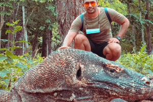 Diskon Paket Liburan Open Trip Pulau Komodo 2 Hari 1 Malam Bulan Juni 2022