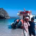 Paket Tur Pulau Komodo 1 Hari Dengan Fastboat