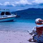 Paket Tur Pulau Komodo One Day Trip Dengan Speedboat