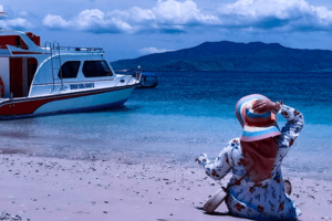 Paket Tur Pulau Komodo 1 Hari Dengan Fastboat