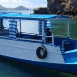 Paket Tur Pulau Komodo One Day Trip Dengan Kapal Kayu