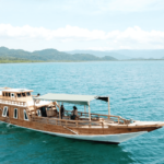 Paket Tur Pulau Komodo 1 Hari Dengan Wooden Boat