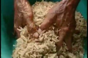 Etnomatematika dan Sains dalam Pembuatan Makanan Tradisional Bali: Lawar dan Jukut Ares