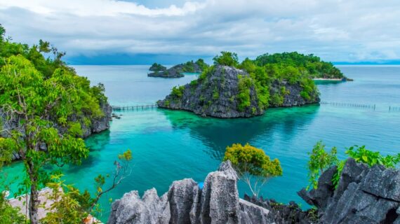 Exploring the Unique Flavors of Sulawesi: A Culinary Journey Through Indonesia