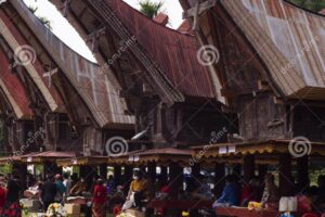 Ballo: A Traditional Alcoholic Beverage of Toraja and the Art of Jackfruit Propagation